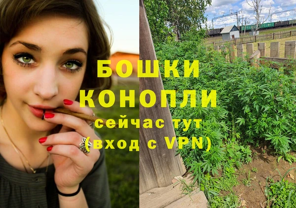 PSILOCYBIN Горно-Алтайск