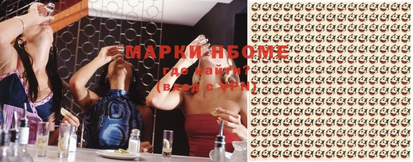 твердый Дмитровск