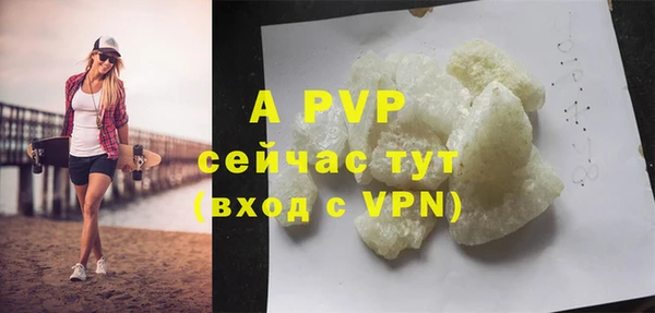 PSILOCYBIN Горно-Алтайск