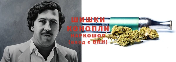 соль ск Горнозаводск