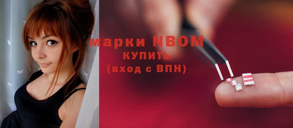 соль ск Горнозаводск