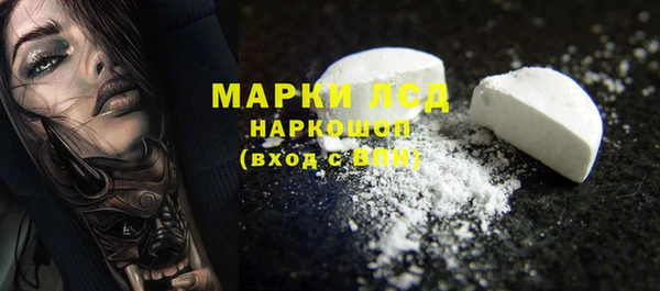 PSILOCYBIN Горно-Алтайск