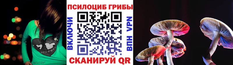 наркотики Далматово Галлюциногенные грибы мухоморы